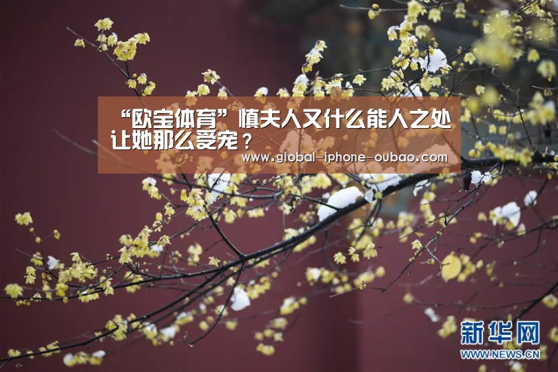 “欧宝体育”慎夫人又什么能人之处让她那么受宠?(图4) 欧宝体育