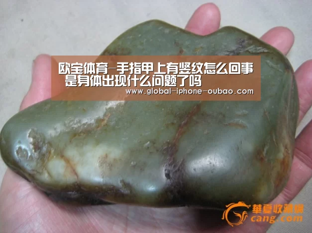 欧宝体育-手指甲上有竖纹怎么回事 是身体出现什么问题了吗(图2) 欧宝体育